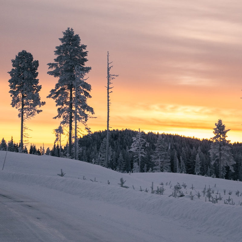Ice Driving Experience Sweden from 02/01/2024 until 02/04/2024